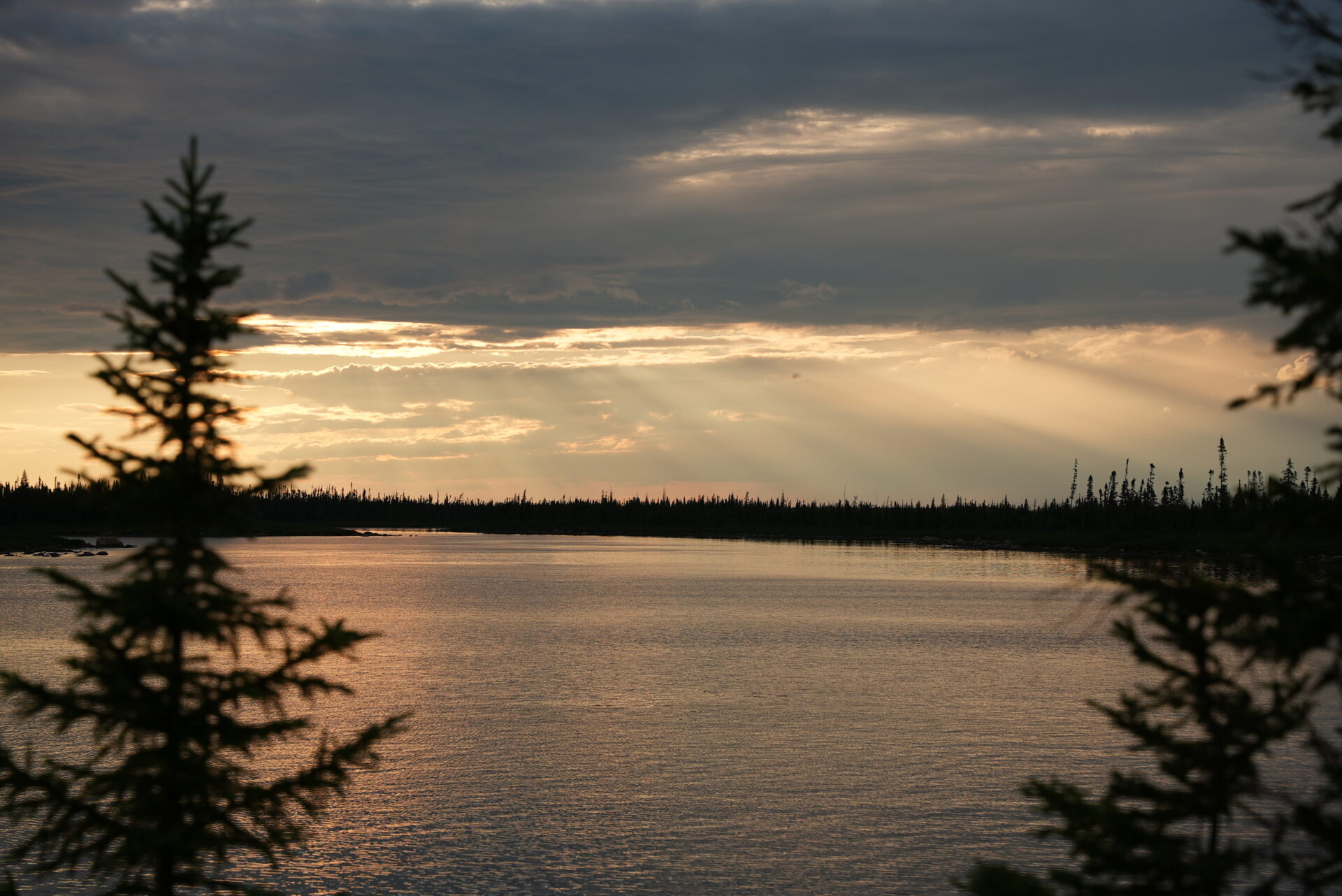 Sunset over lake with pine trees