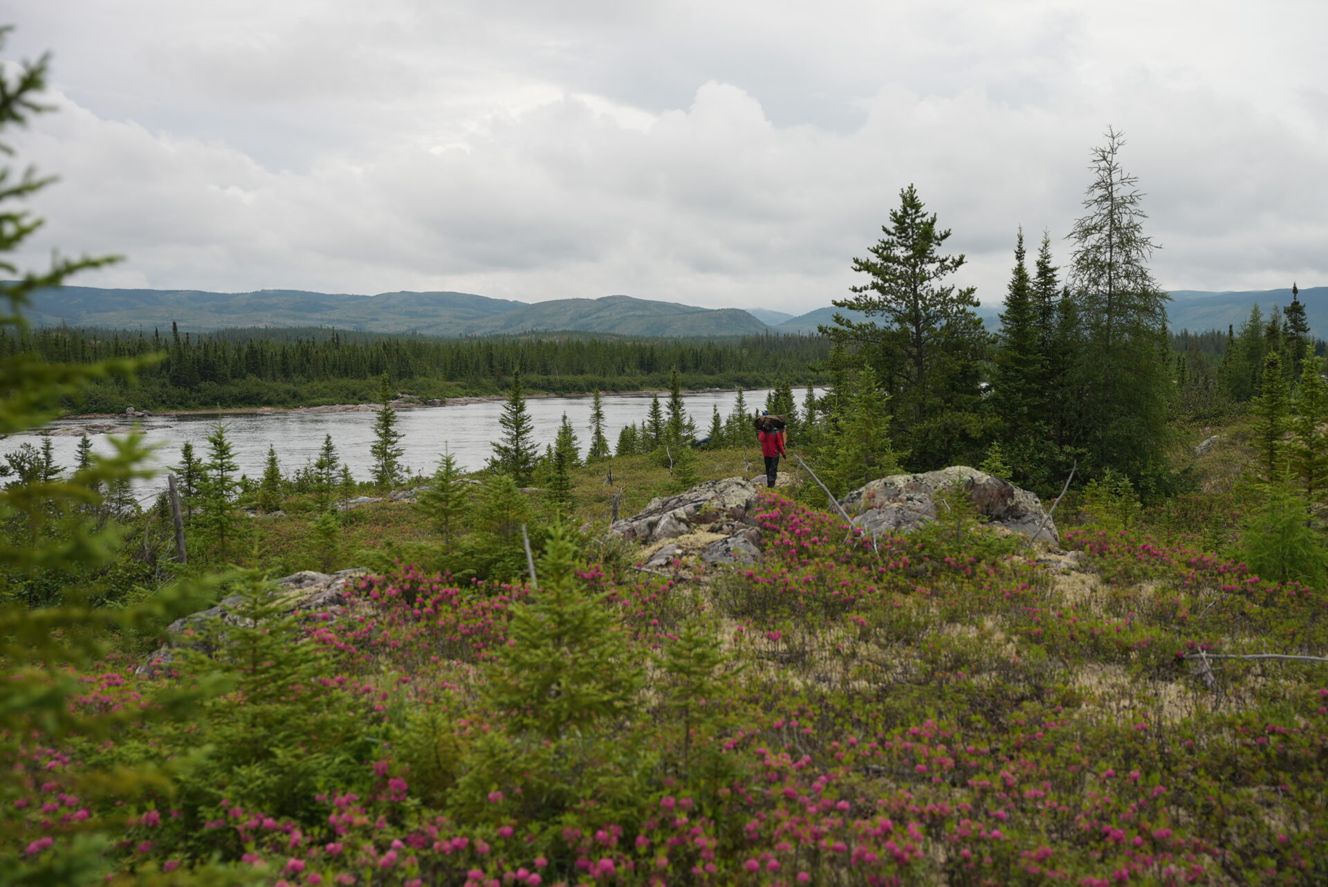 Person hiking by river in forested area.