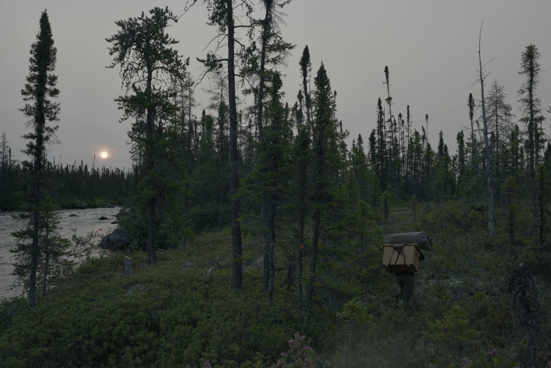 Person hiking in forest at sunset near river