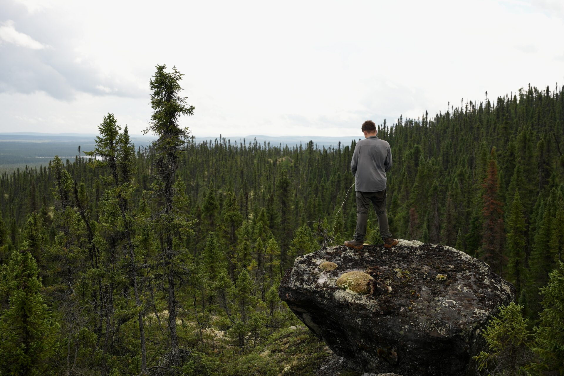 Person on rock in forest