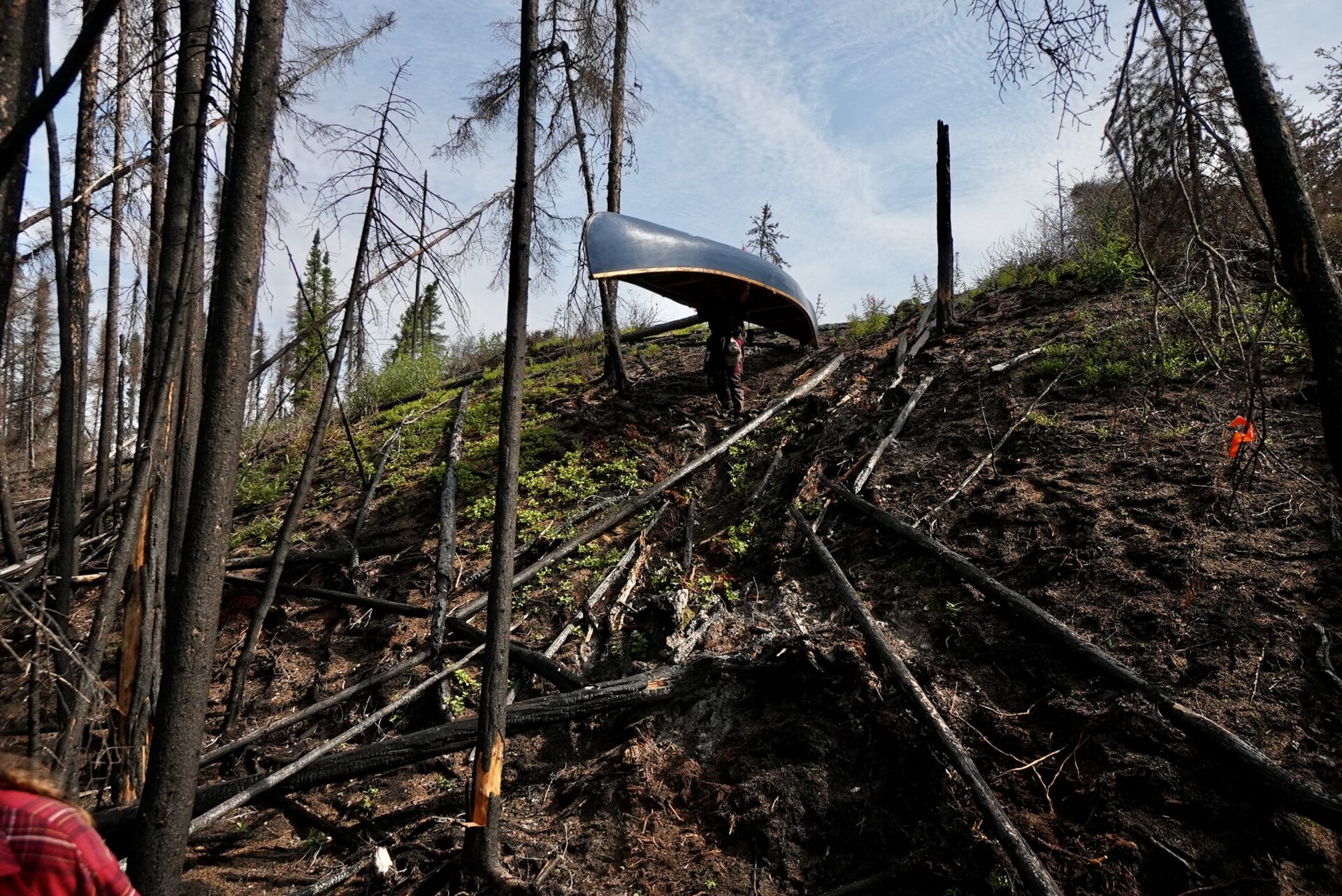 Person carrying canoe up burnt forest slope