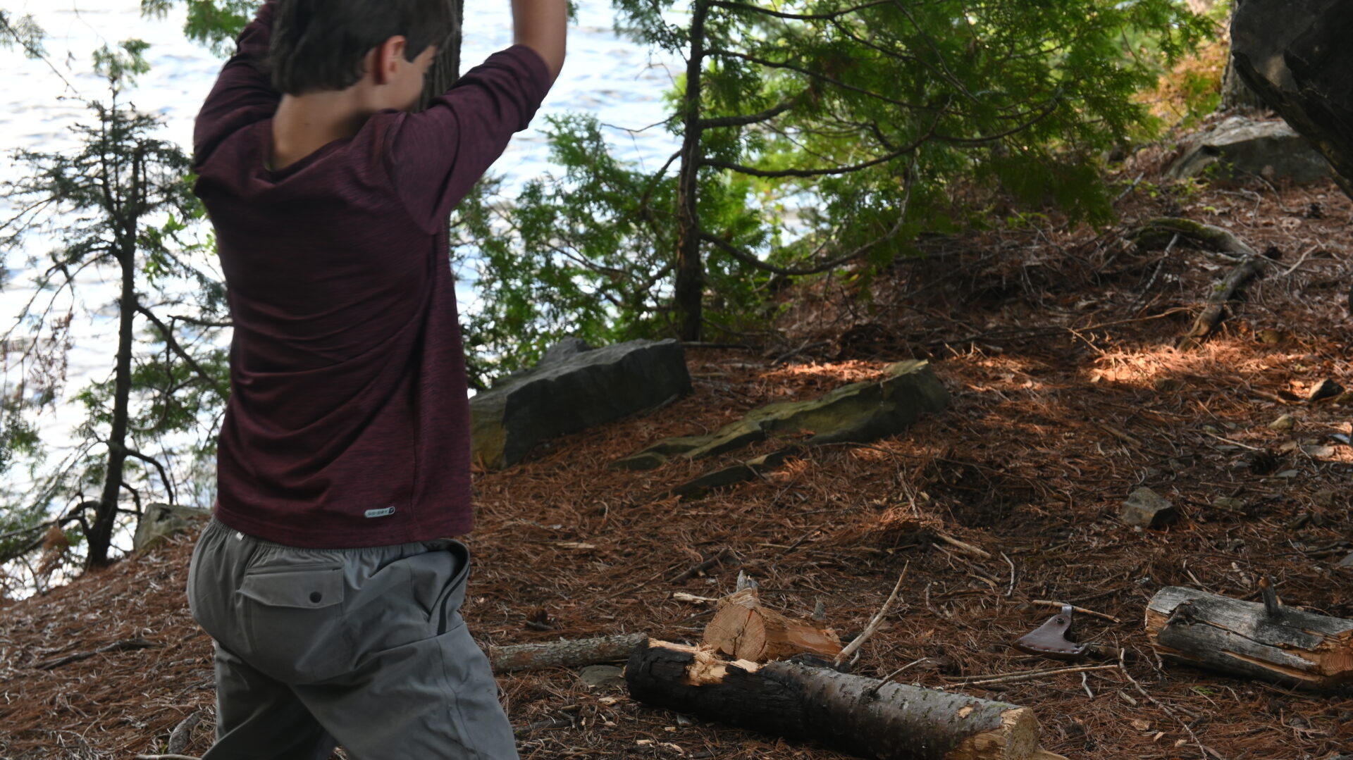 Person chopping wood near lake in forest