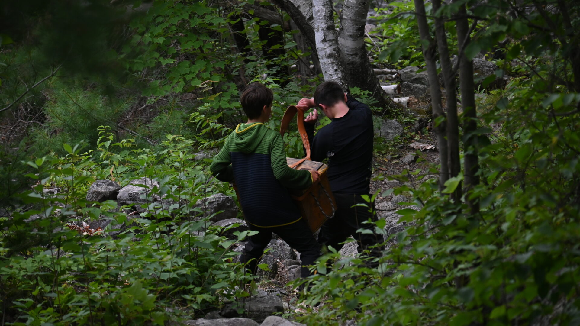 Two boys carry a basket in the forest.