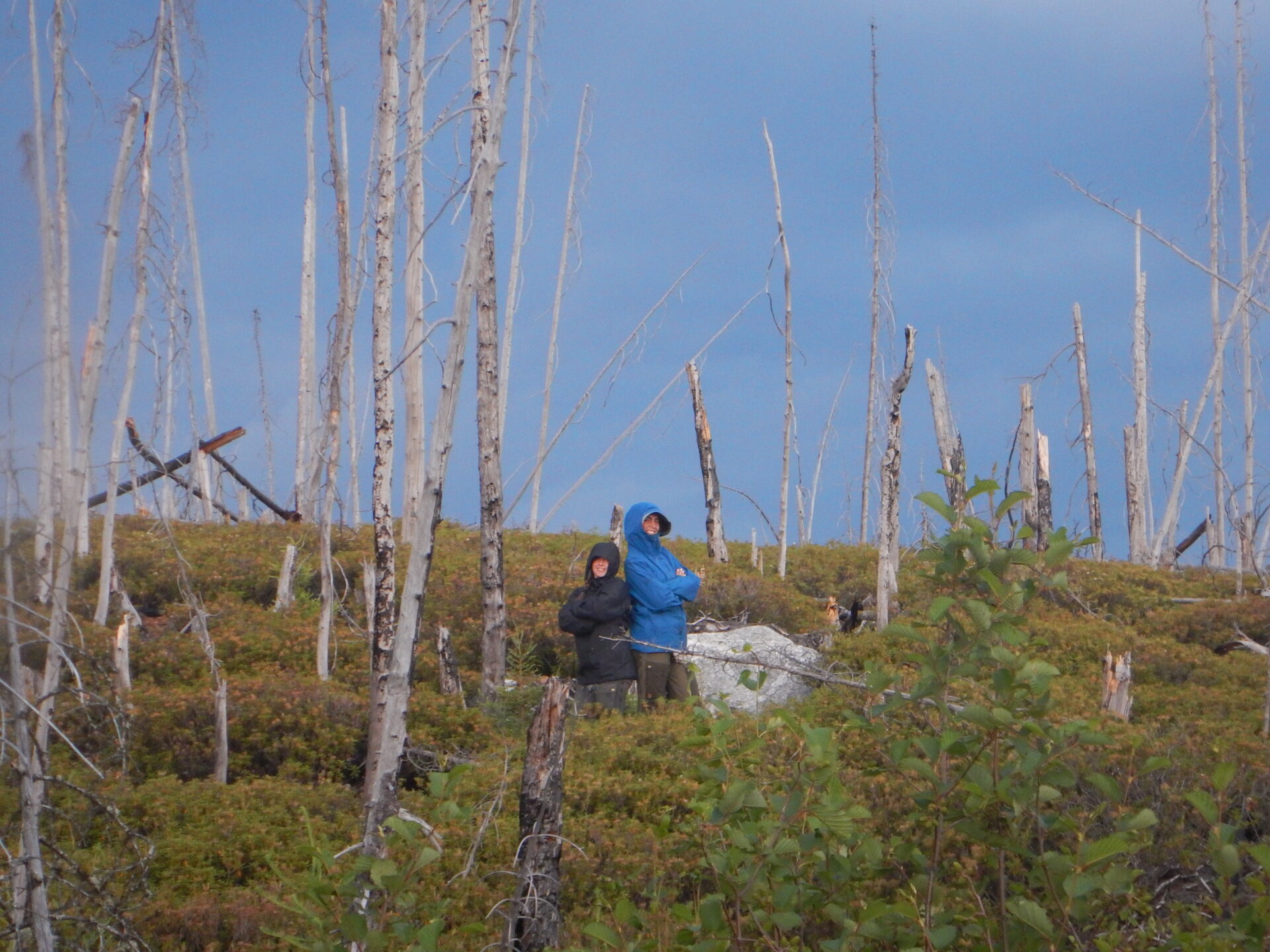 People in raincoats in a burned forest