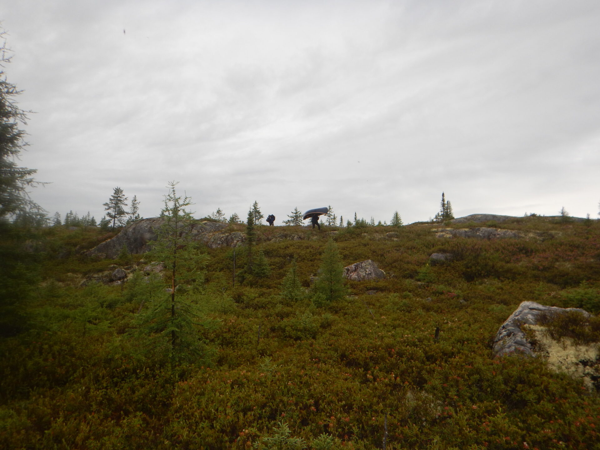 Person carrying canoe on a forested hill