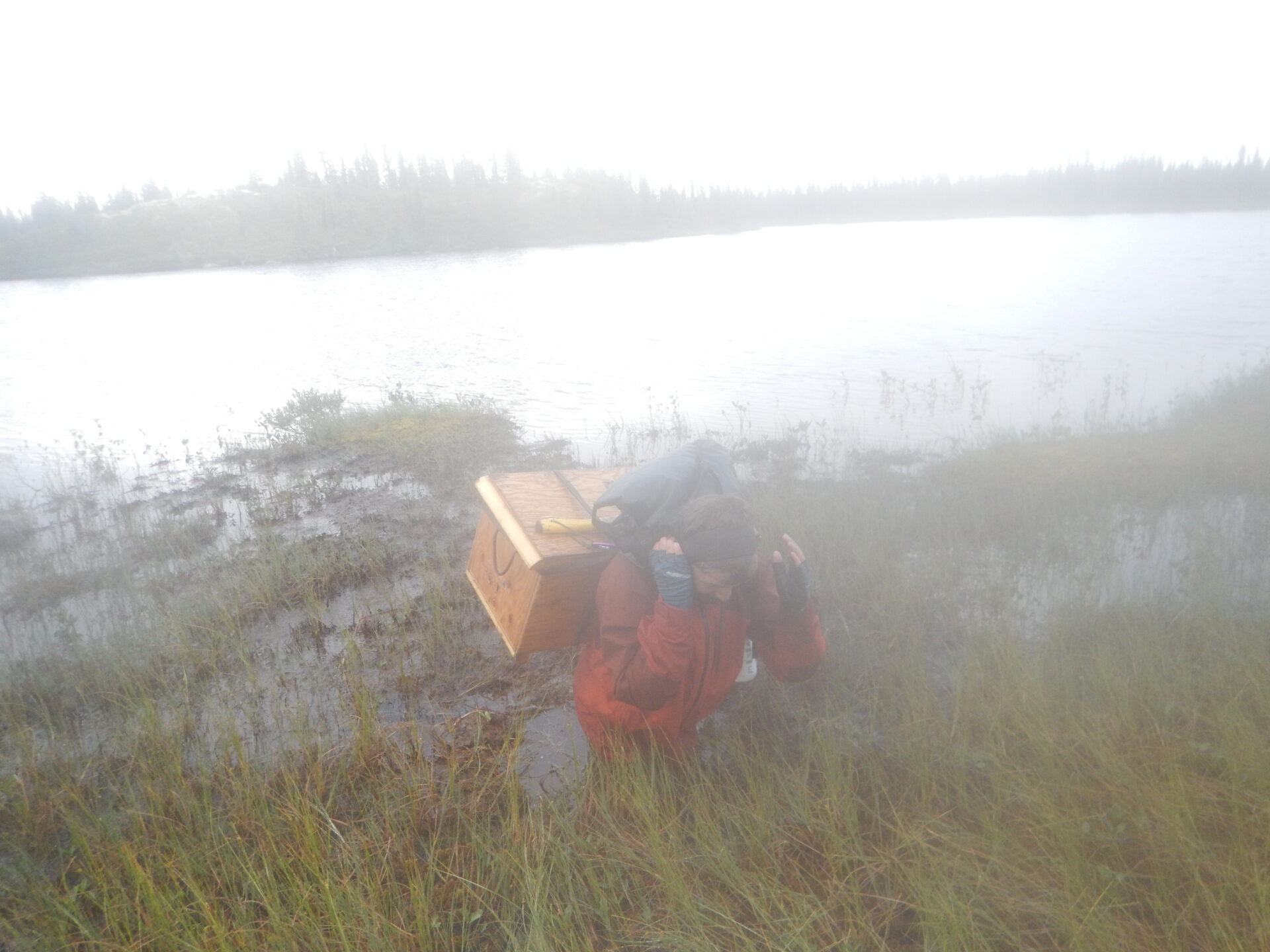 Person carrying box in misty field by water.