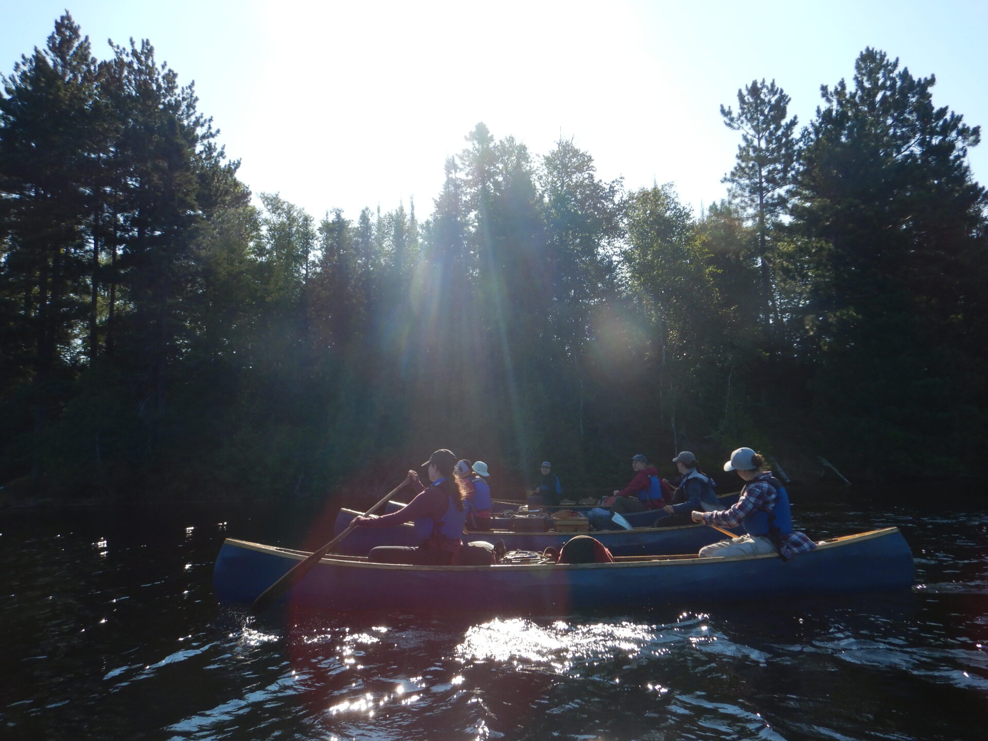 Group canoeing in a lake surrounded by trees.