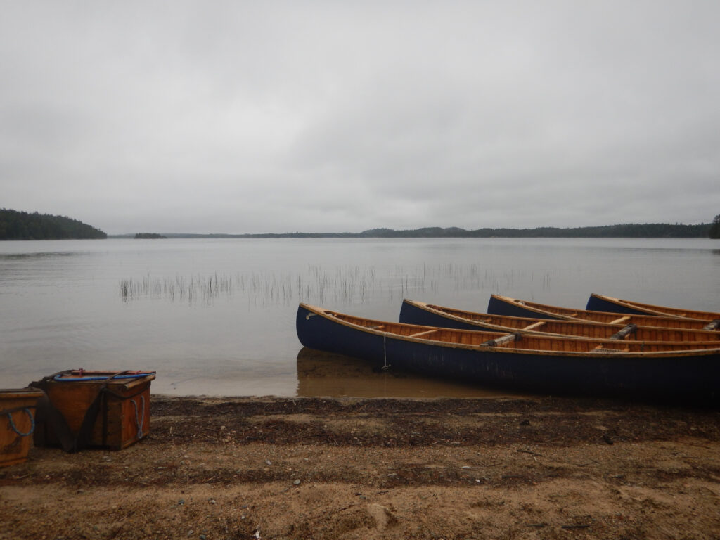 Wooden canoes on calm lake shore