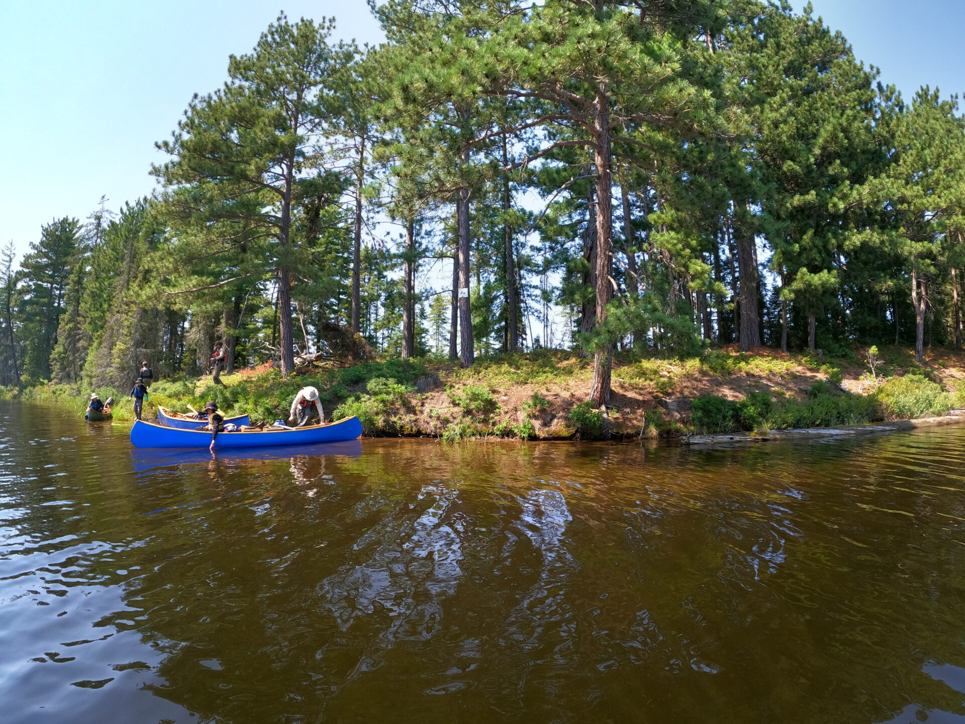 People with canoe at forested lakeshore.