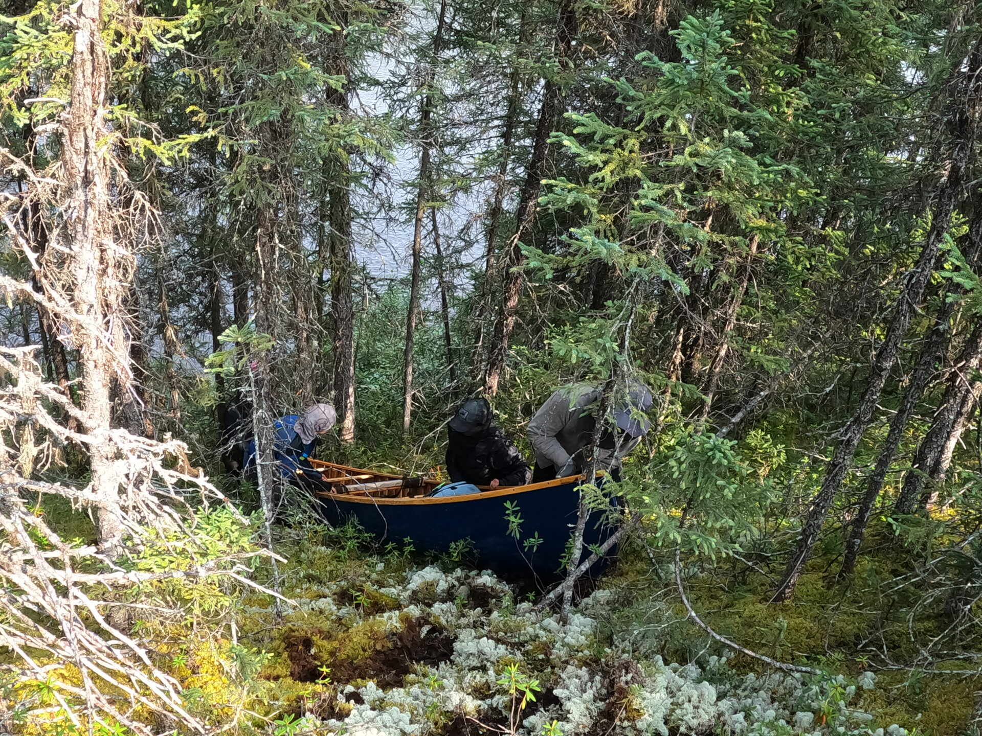 People carry canoe through dense forest