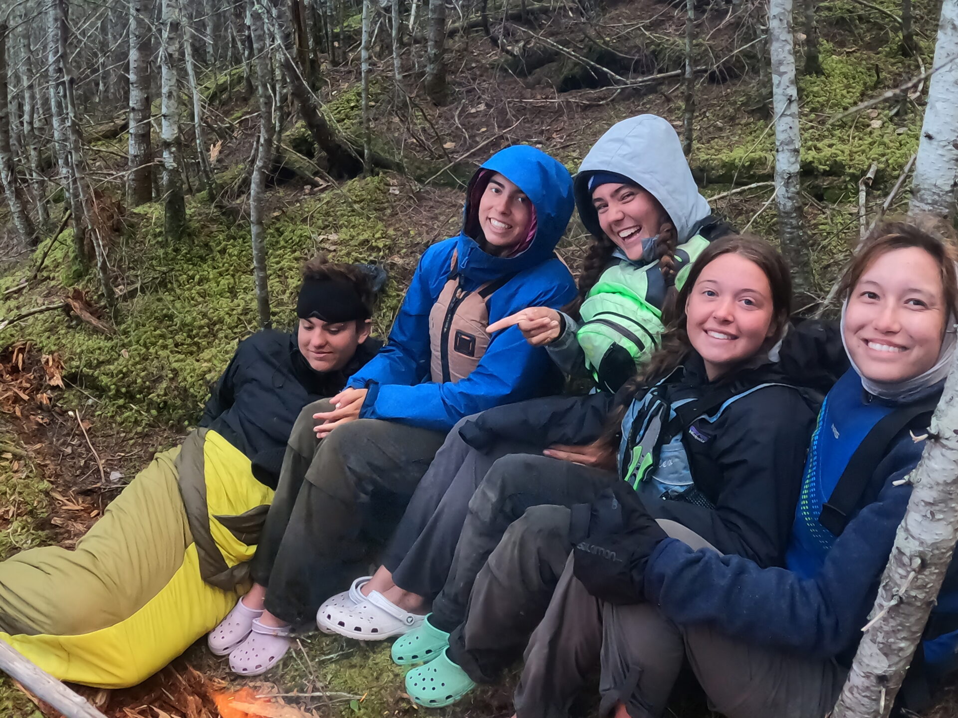 Group of friends camping in the forest.