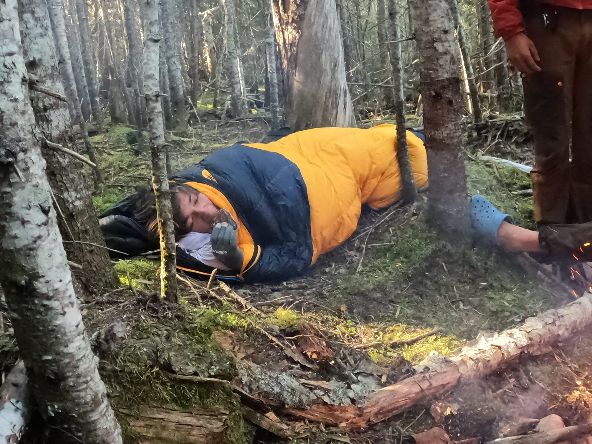 Camper sleeping in forest with sleeping bag.