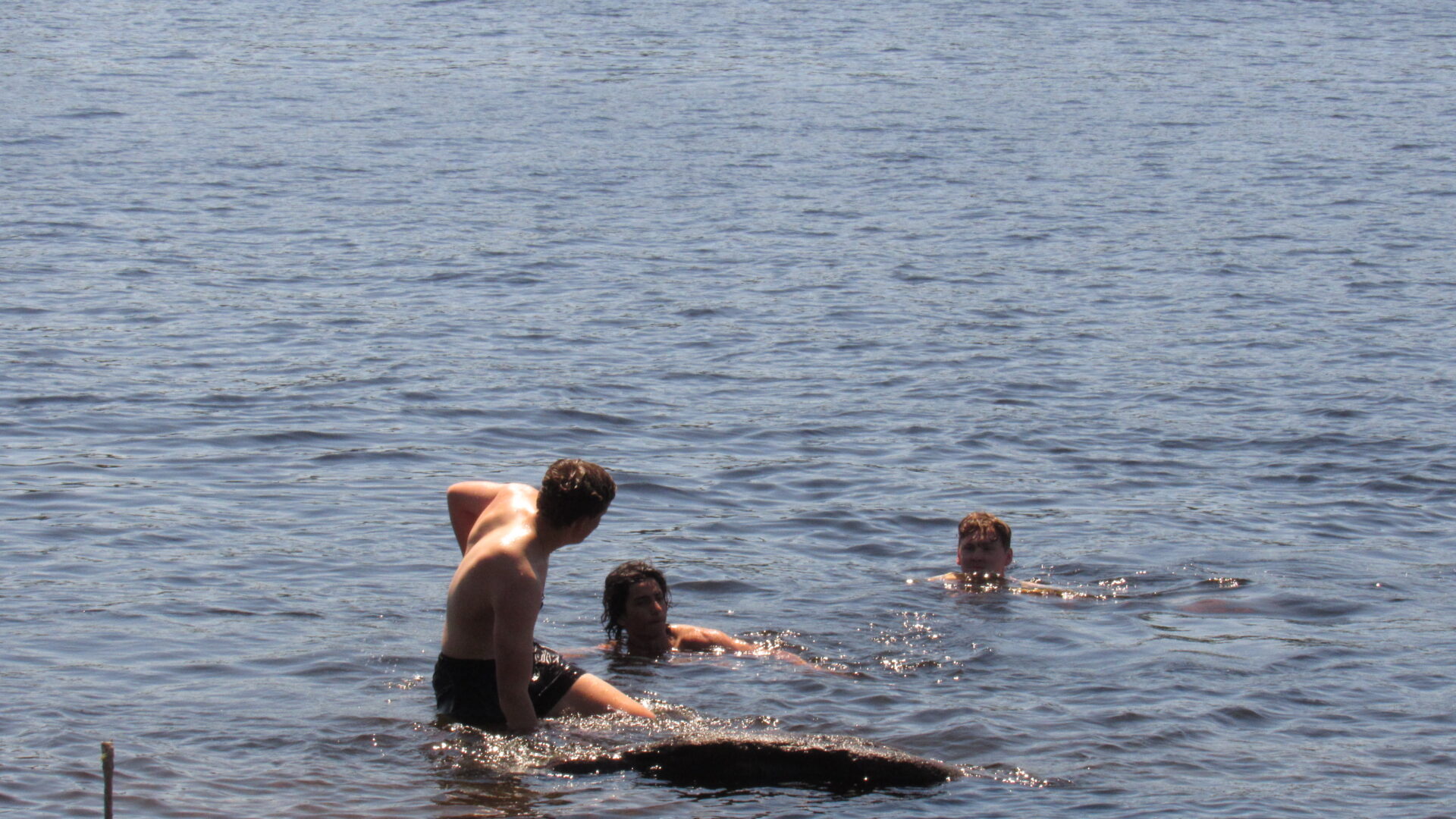 Three men swimming in a lake.