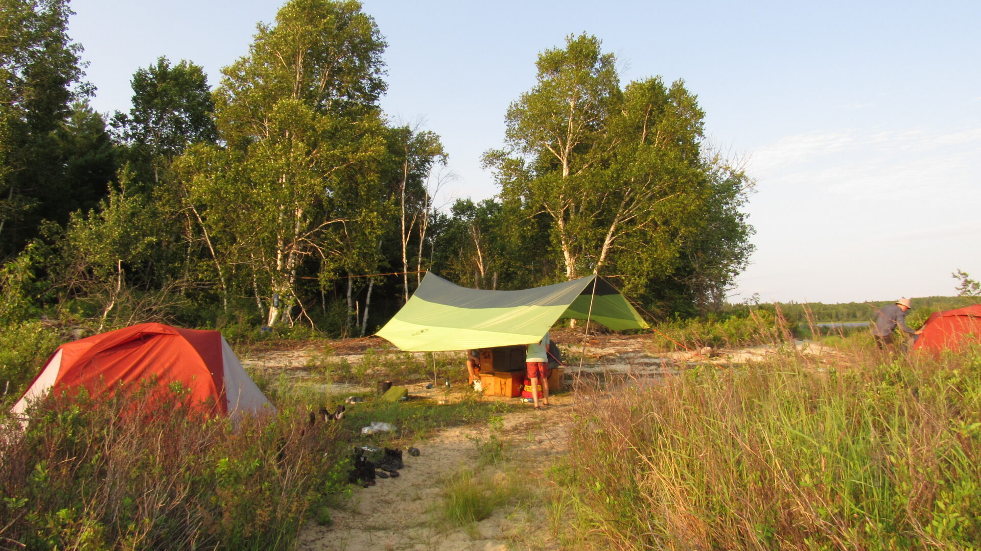 Camping tents by a forest in summer