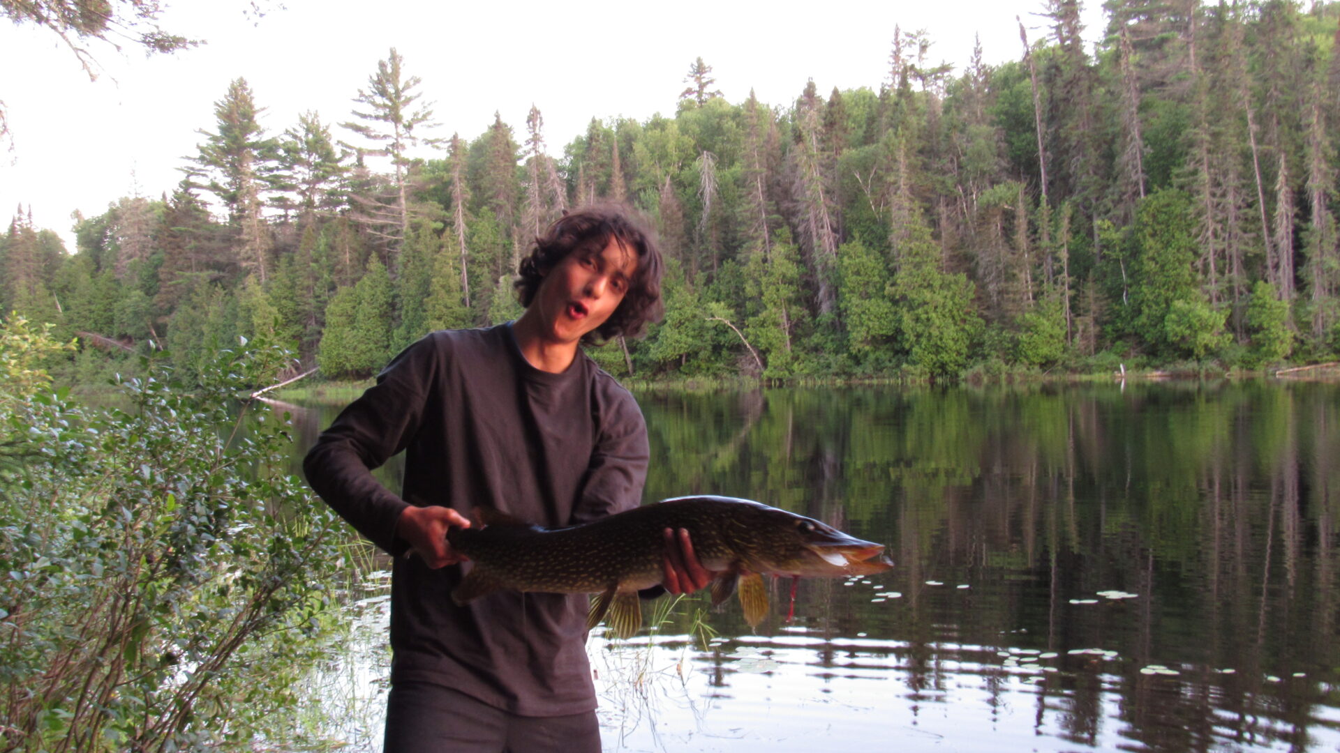 Person holding a fish by a forest lake.