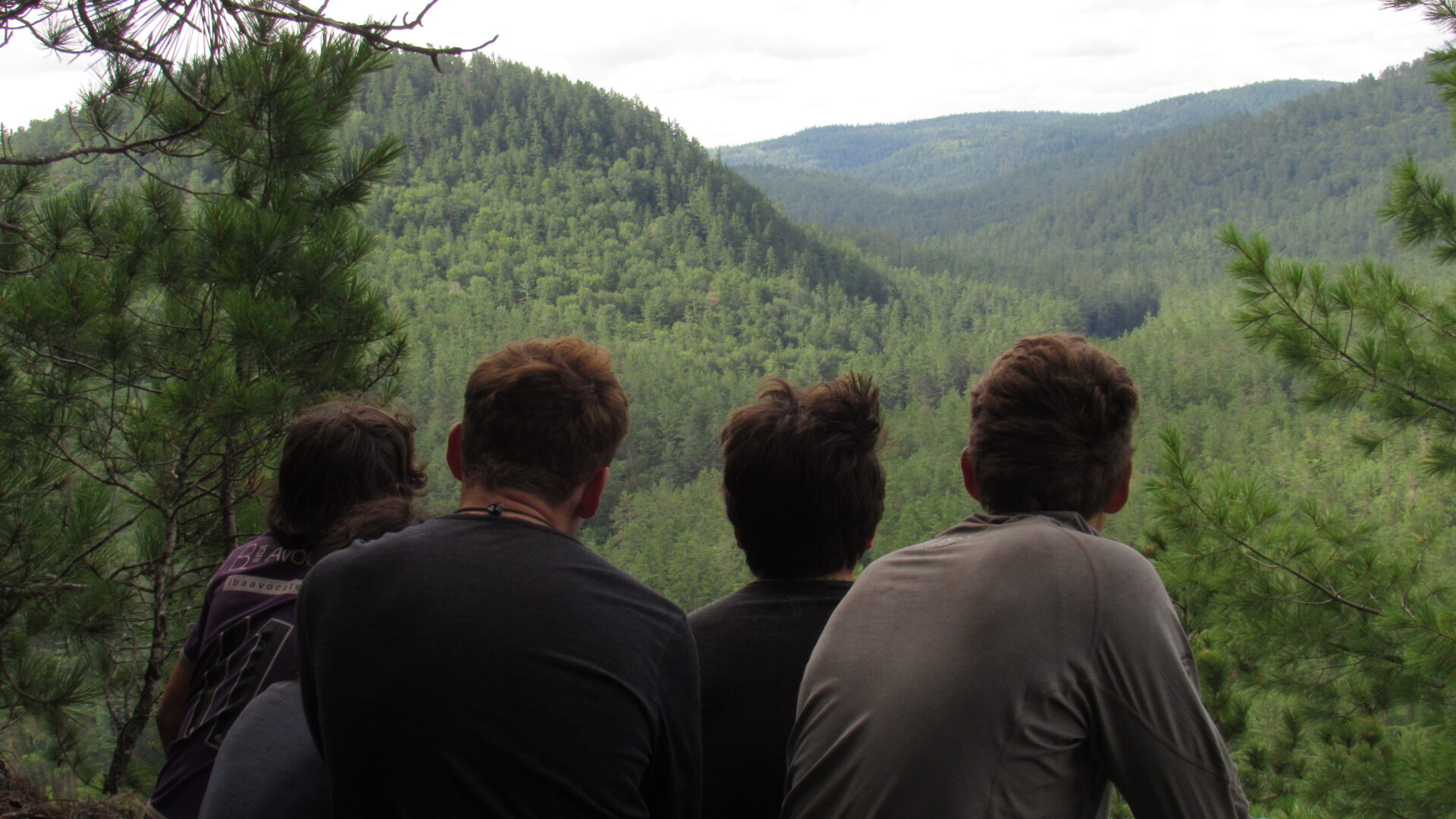 Group overlooking green forested valley