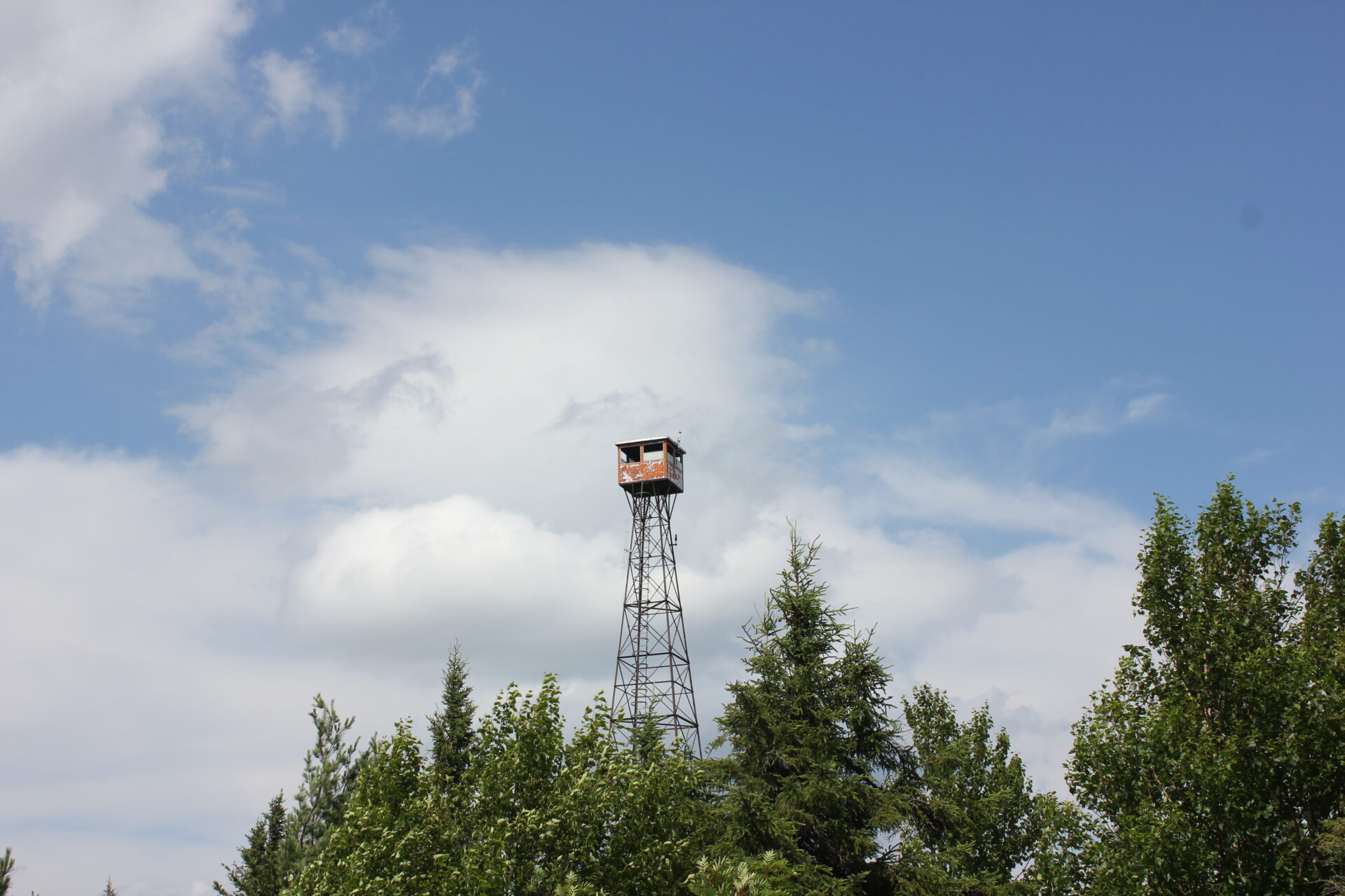 Observation tower among trees under blue sky.