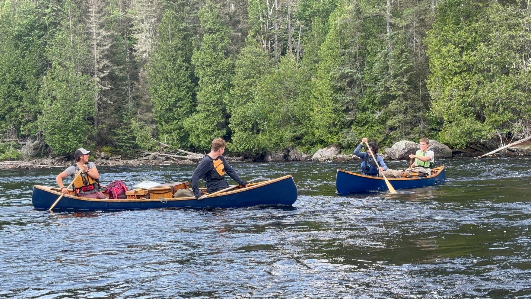 People paddling canoes on river with forest background.