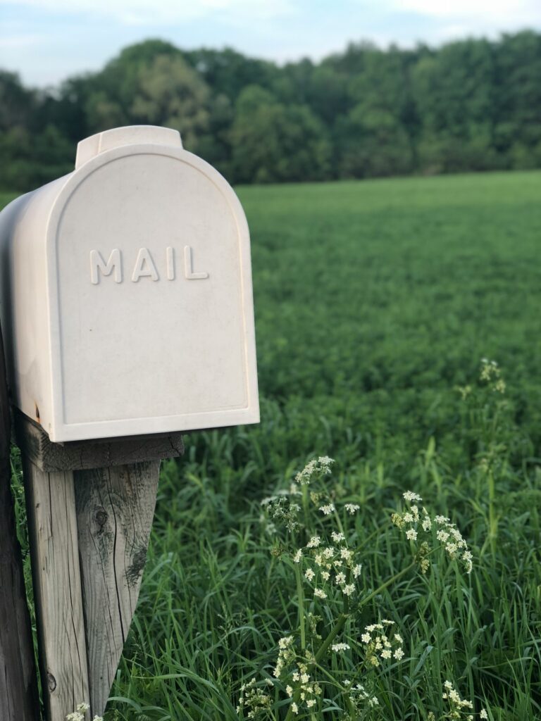 White mailbox in rural grassy field