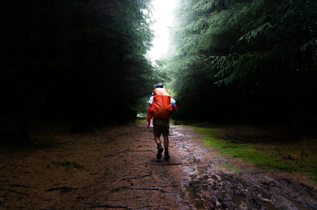 Hiker walking through forest with orange backpack.