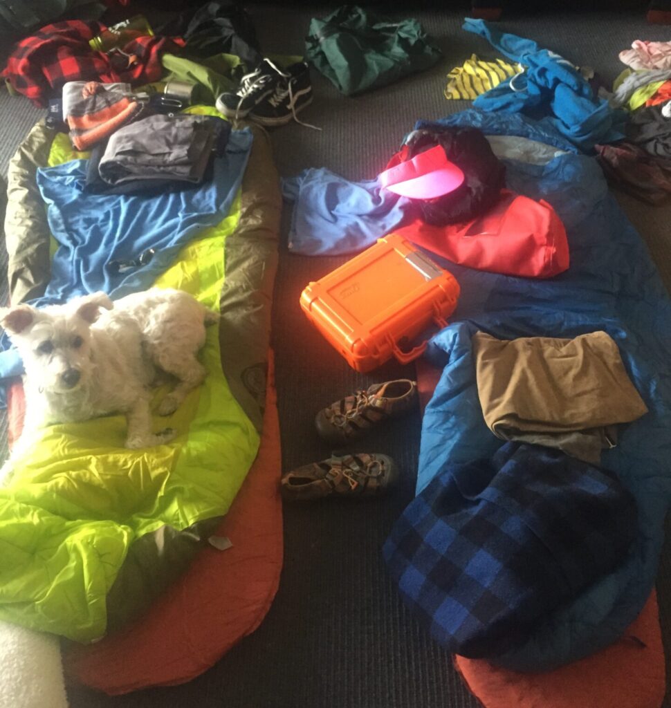 Camping gear and dog on sleeping bags.