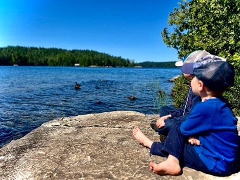 Children sitting by a lakeside, watching ducks swim.